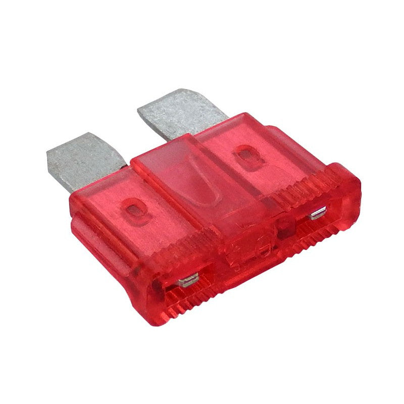 10 Amp Medium Fuse