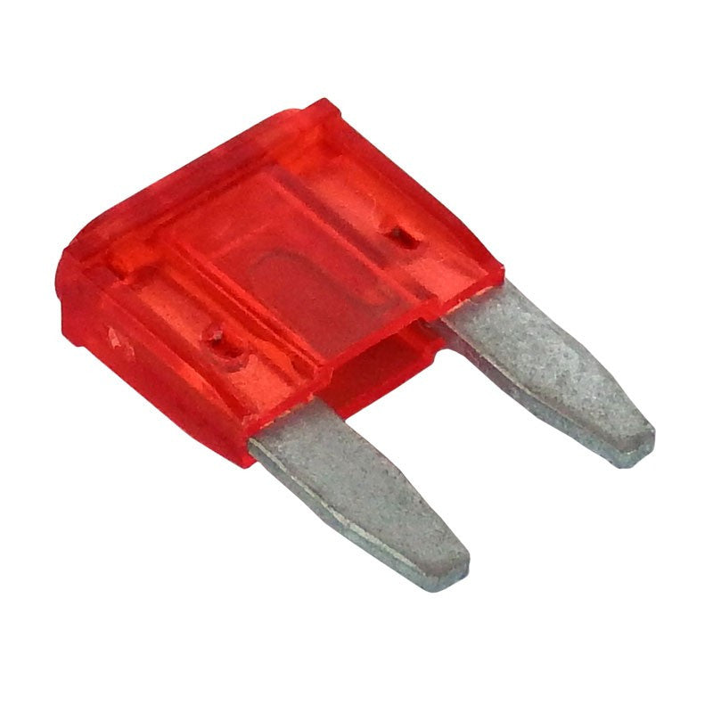 10 Amp Mini Fuse