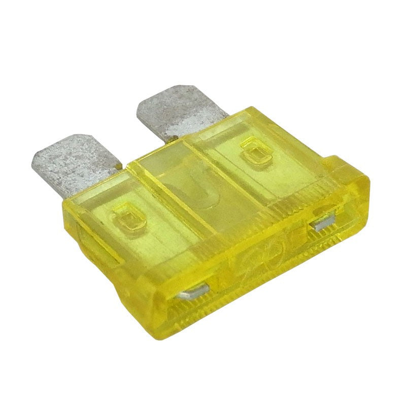 20 Amp Medium Fuse