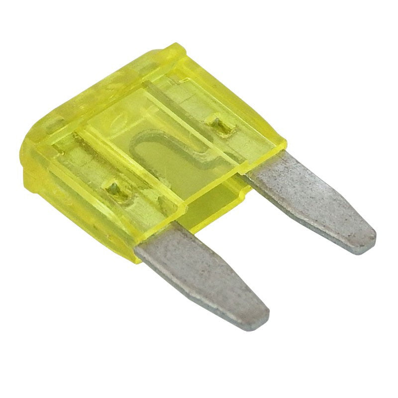 20 Amp Mini Fuse