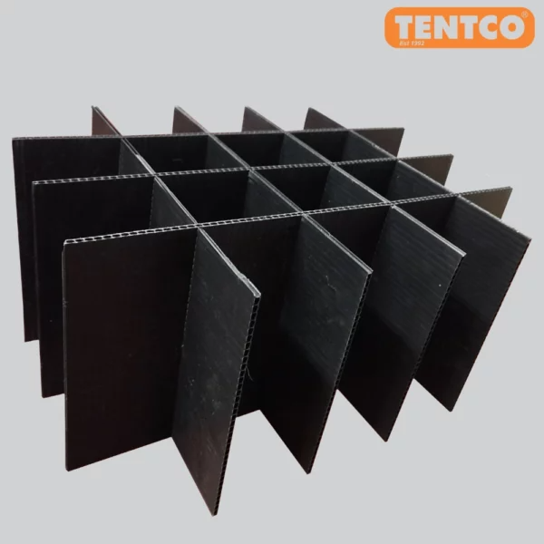 Tentco Box 20 Divider