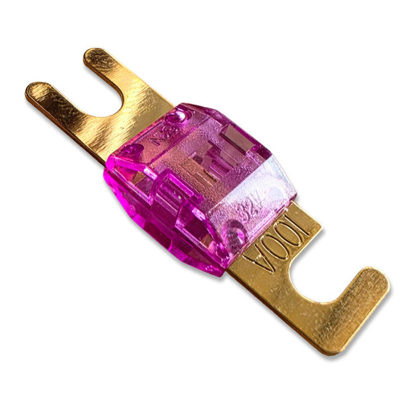 100 Amp ANL Blade Fuse