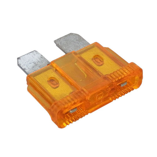 5 Amp Medium Fuse