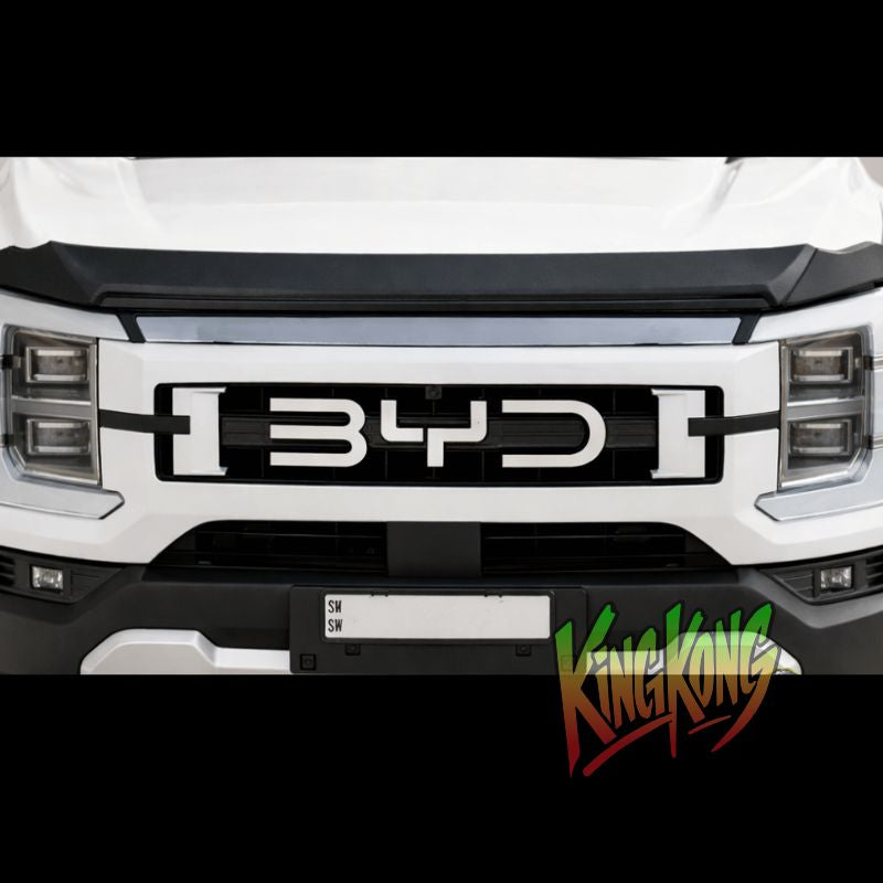 BYD Shark 6 Bonnet Guard | One-Piece Stone Guard