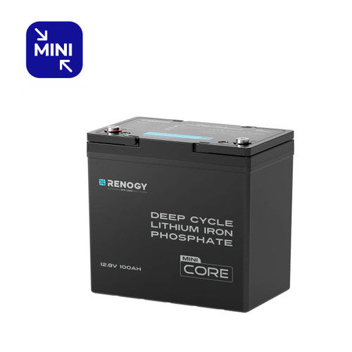 Renogy Lithium Iron Phosphate Batteries – 100Ah & 200Ah - Capacity: 100Ah