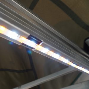 Light Kit - Ostrich wing awning