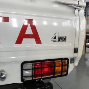 Rear Light Guards - LC79 (Pair)
