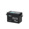 Renogy Lithium Iron Phosphate Batteries – 100Ah & 200Ah - Capacity: 200Ah