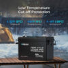 Renogy Lithium Iron Phosphate Batteries – 100Ah & 200Ah - Capacity: 100Ah