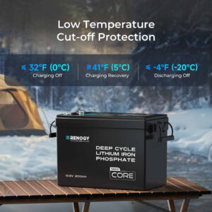 Renogy Lithium Iron Phosphate Batteries – 100Ah & 200Ah - Capacity: 100Ah