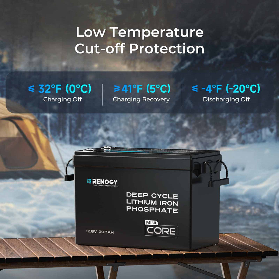 Renogy Lithium Iron Phosphate Batteries – 100Ah & 200Ah - Capacity: 100Ah