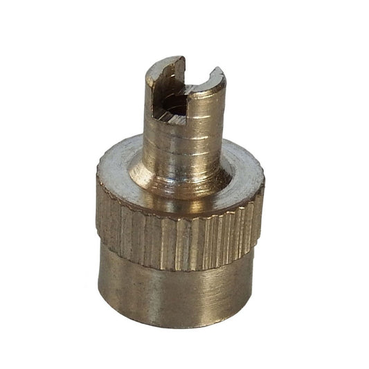 Valve cap with valve removing tool